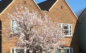 3 Summertown Court